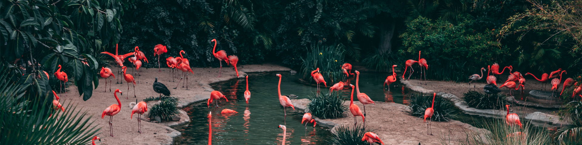 青海方揚國際旅行社有限公司駐馬店學院路店